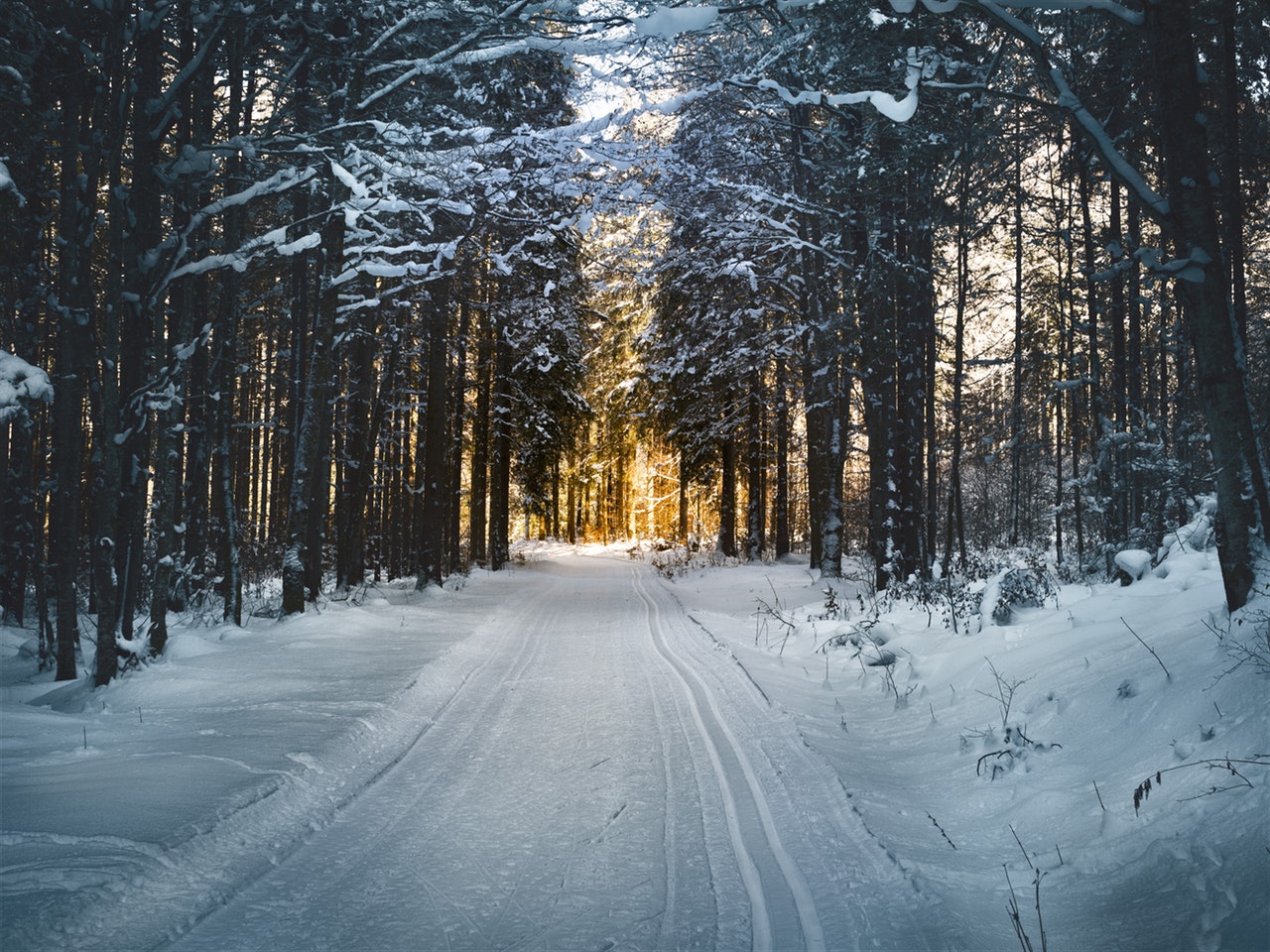 Winterkonzert